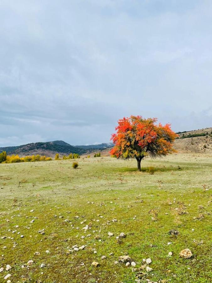 Alojamiento Rural Los Gancheros 트라가세테 외부 사진